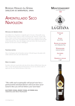 AmONTILLADO SECO NAPOLE&Oacute;N