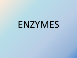 Mechanism action LOCK AND KEY MODEL INDUCED &ndash; FIT MODEL