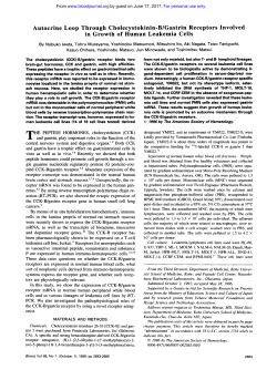 Autocrine Loop Through Cholecystokinin-B/Gastrin