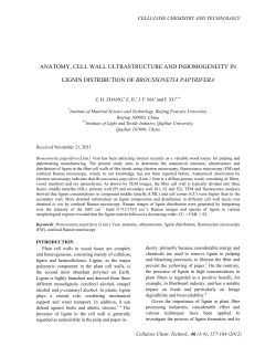 anatomy, cell wall ultrastructure and inhomogeneity in lignin