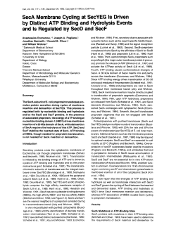 SecA Membrane Cycling at SecYEG Is Driven by Distinct ATP