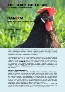 the black castilian
