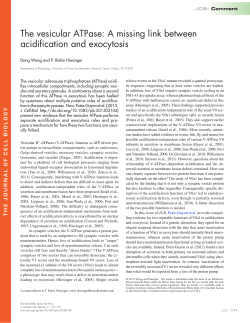 The vesicular ATPase - The Hiesinger Neurogenetics Laboratory