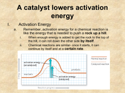 Enzymes - Acpsd.net