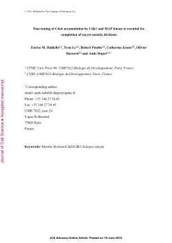 Fine-tuning of Cdc6 accumulation by Cdk1 and MAP kinase is