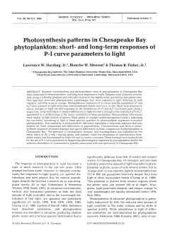 Photosynthesis patterns in Chesapeake Bay phytoplankton: short