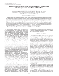 Molecular Phylogeny of the Cuscuta californica Complex