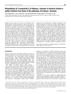 Biosynthesis of 2-acetamido-2,6-dideoxy-L