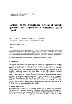 Synthesis of the trisaccharide segment of phenolic glycolipid from