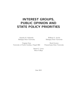 interest groups, public opinion and state policy priorities