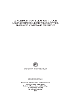 a pathway for pleasant touch