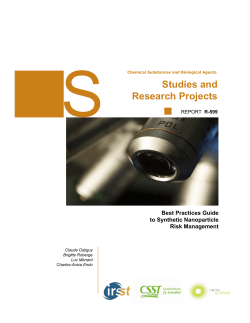 Best Practices Guide to Synthetic Nanoparticle Risk