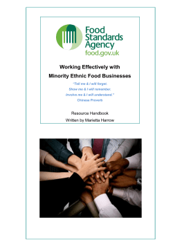 Working effectively with minority ethnic food businesses