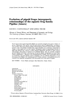 Evolution of pipoid frogs: intergeneric relationships of the aquatic
