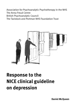 PDF - British Psychoanalytic Council