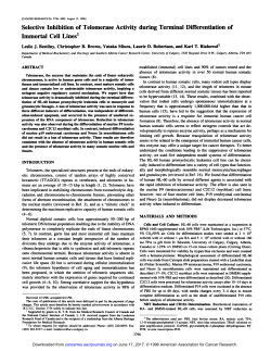 Selective Inhibition of Telomerase Activity during