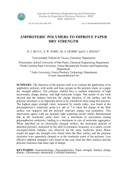 AMPHOTERIC POLYMERS TO IMPROVE PAPER DRY STRENGTH