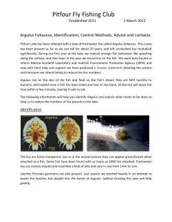 here - Pitfour Fly Fishing Club