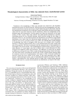 the Scanned PDF - Mineralogical Society of America