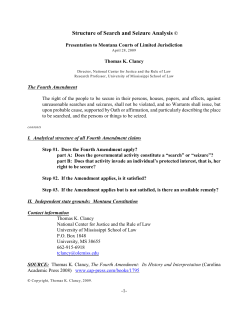 Structure of Search and Seizure Analysis