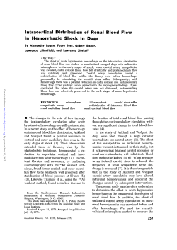 Intracortical Distribution of Renal Blood Flow in Hemorrhagic Shock