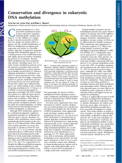Conservation and divergence in eukaryotic DNA methylation