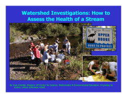 How to Assess the Health of a Stream