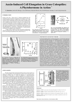 Auxin-Induced Cell Elongation in Grass Coleoptiles 2.cdr