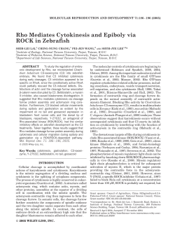 Rho mediates cytokinesis and epiboly via ROCK in zebrafish