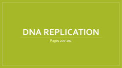 DNA Replication