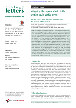 Mitigating the squash effect: sloths breathe easily upside down