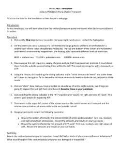 TASK CARD: Simulation Sodium/Potassium Pump (Active Transport