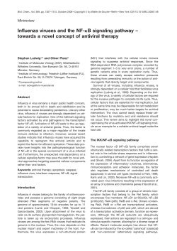 Influenza viruses and the NF-kB signaling pathway &ndash; towards a