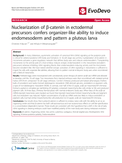Nuclearization of &beta;-catenin in ectodermal precursors confers