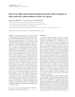 Short-term light and leaf photosynthetic dynamics affect estimates of