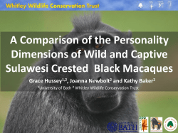 Grace Hussey personality macaques WWCT 2.29mb 24th