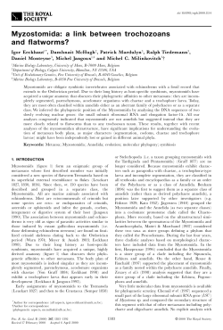 Myzostomida: a link between trochozoans and flatworms?