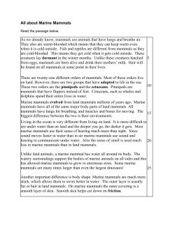 reading, writing, investigation of all about marine mammals