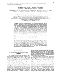 Tetrapod - The University of Alabama