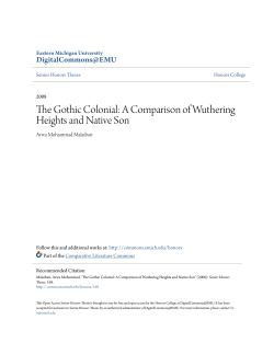 A Comparison of Wuthering Heights and Native Son