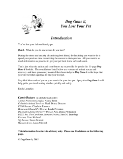 Dog Gone It - Pawmetto Lifeline