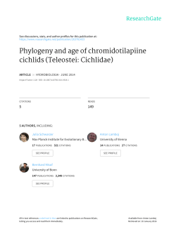 Phylogeny and age of chromidotilapiine cichlids (Teleostei: Cichlidae)