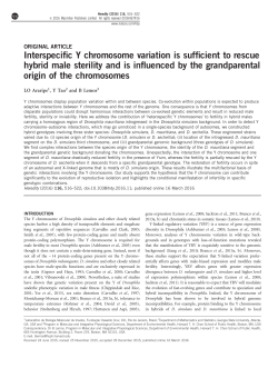 Interspecific Y chromosome variation is sufficient to rescue hybrid