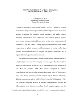 Testing Paradigms in Aphasia Research