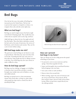 Bed Bugs - Intermountain Healthcare