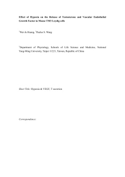 Effect of Hypoxia on the Release of Testosterone and Vascular