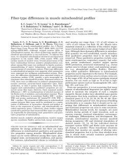 Fiber-type differences in muscle mitochondrial profiles