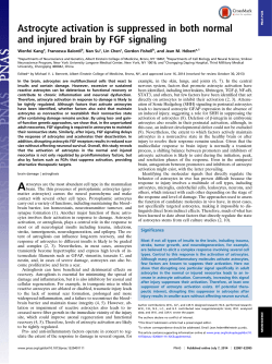 PDF - Fishell Lab