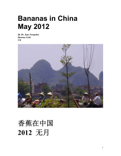Bananas in China 2012