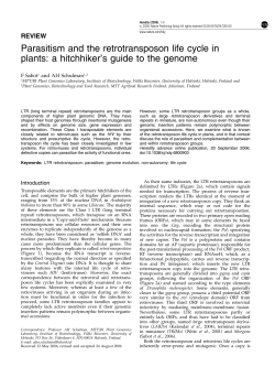 Parasitism and the retrotransposon life cycle in plants: a hitchhiker`s